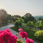 Il Sentiero Del Bosco