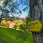 Il Sentiero Del Bosco