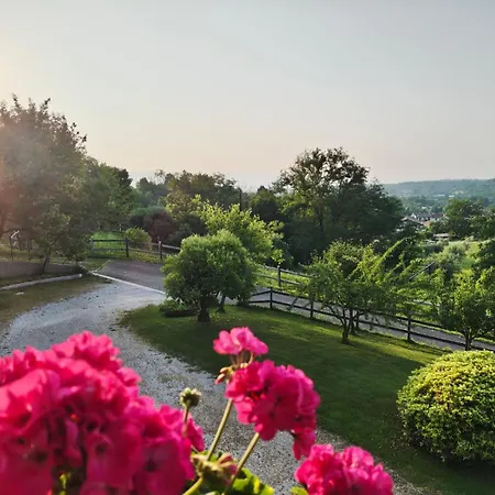 Il Sentiero Del Bosco