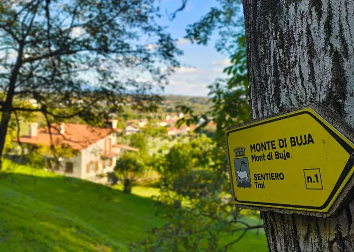 Il Sentiero Del Bosco